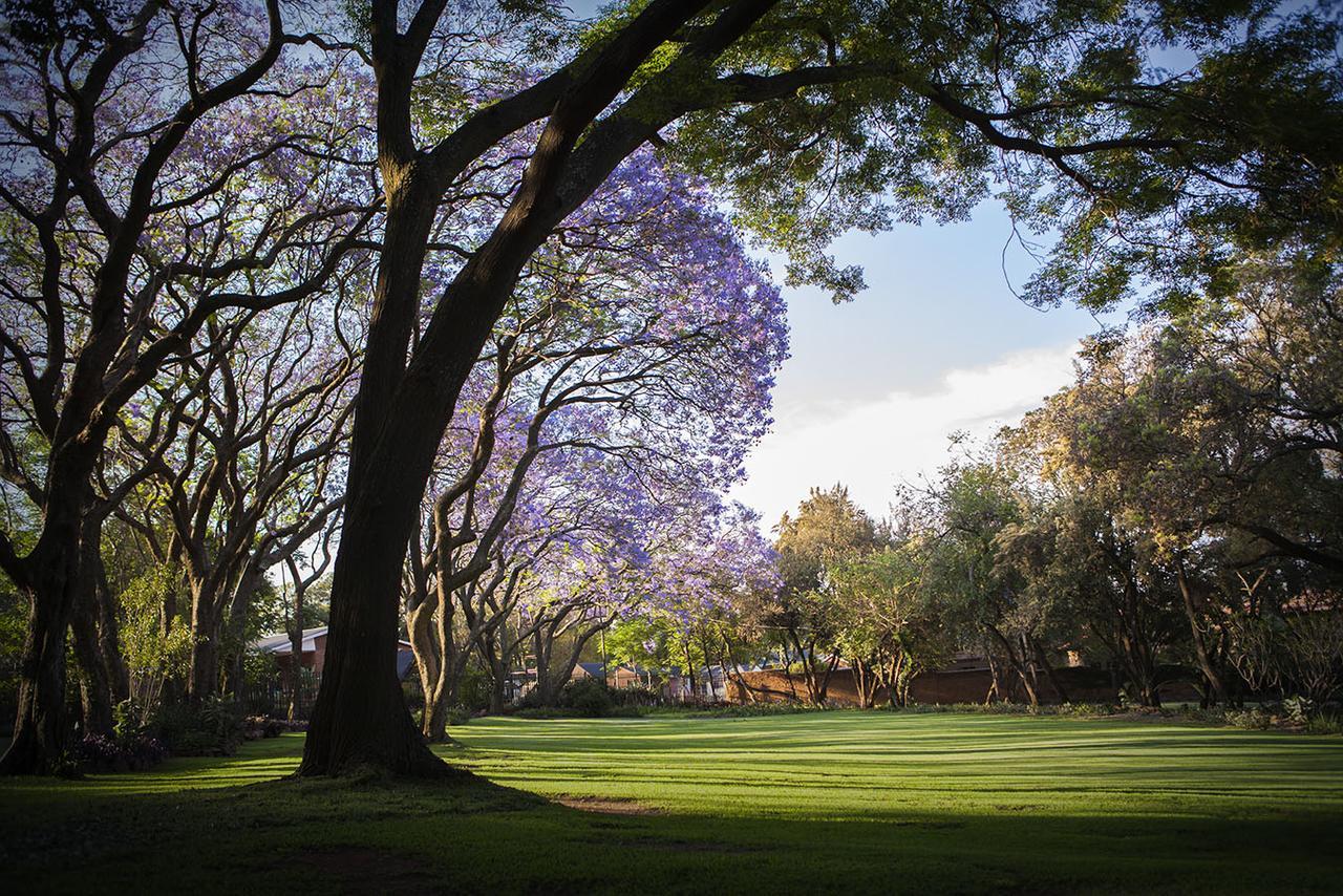 Pierneef's Kraal Hotel Pretoria-Noord Buitenkant foto